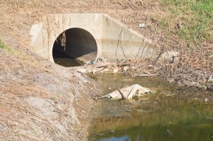 Storm Drain Cleaning, Commercial Services